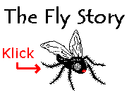 Fly Story